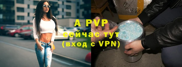 ешки Белокуриха