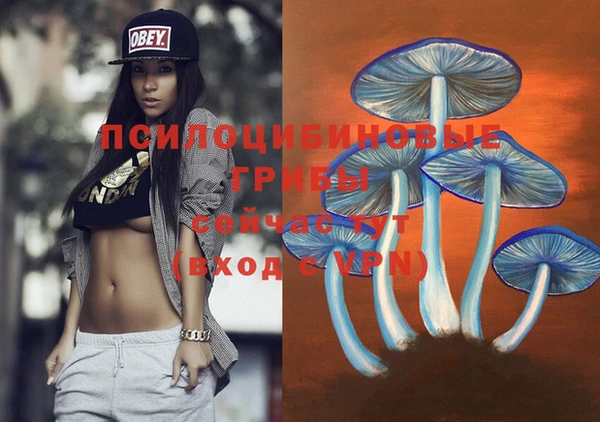 ешки Белокуриха