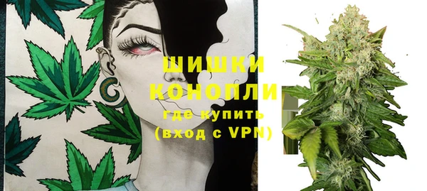 ешки Белокуриха