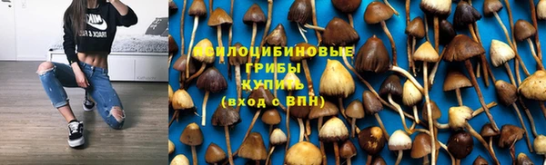 ешки Белокуриха