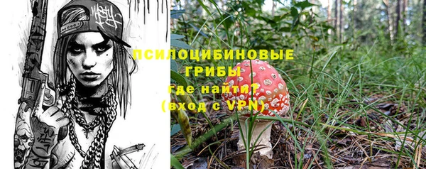 ешки Белокуриха