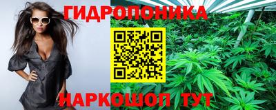 apvp Донской