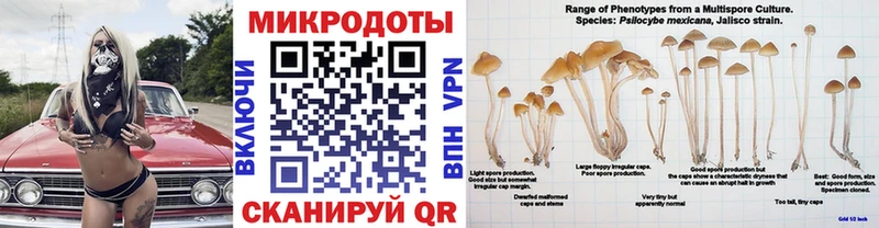 Псилоцибиновые грибы Cubensis  купить наркотик  Волжск 