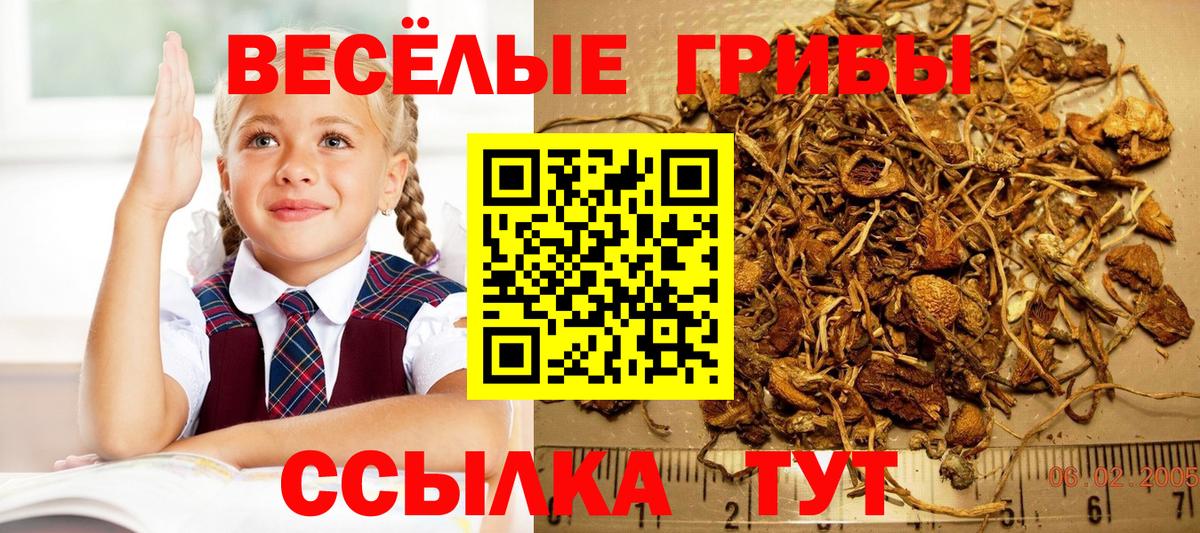 Псилоцибиновые грибы мицелий Волжск